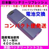 ニコンBC-65